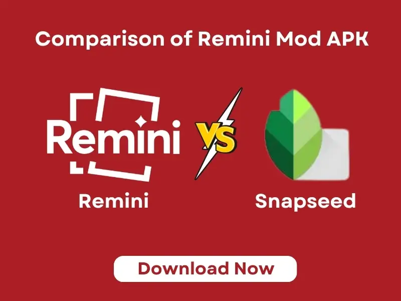 Remini vs Snapseed – A Comparison for Photography Lovers 2 Remini vs Snapseed