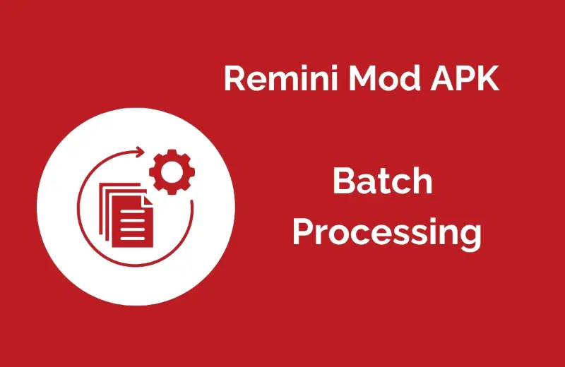 Batch Processing Tool in Remini Mod APK